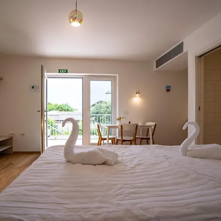 Baron Guest house