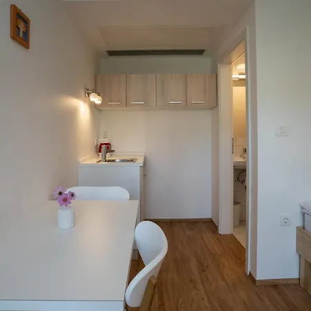 Hiša za goste Baron 3*