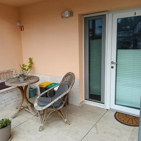 Baron Guest house *