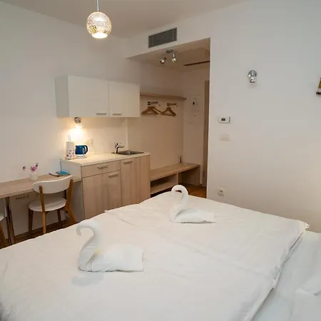 Baron Guest house *