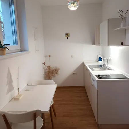 Baron Hiša za goste