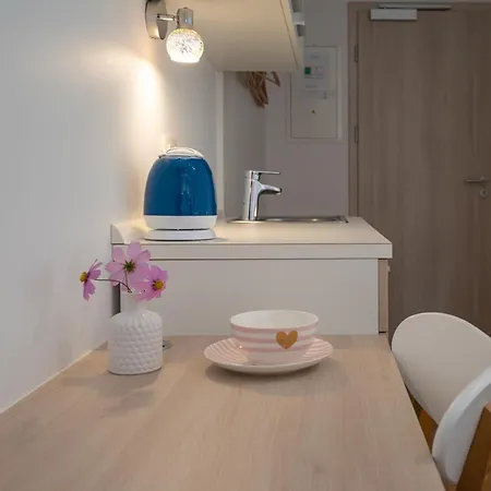 Baron Guest house