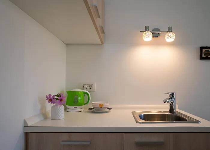 Baron 게스트하우스 류블랴나